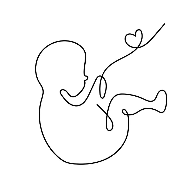 foetus, bébé, naissance
