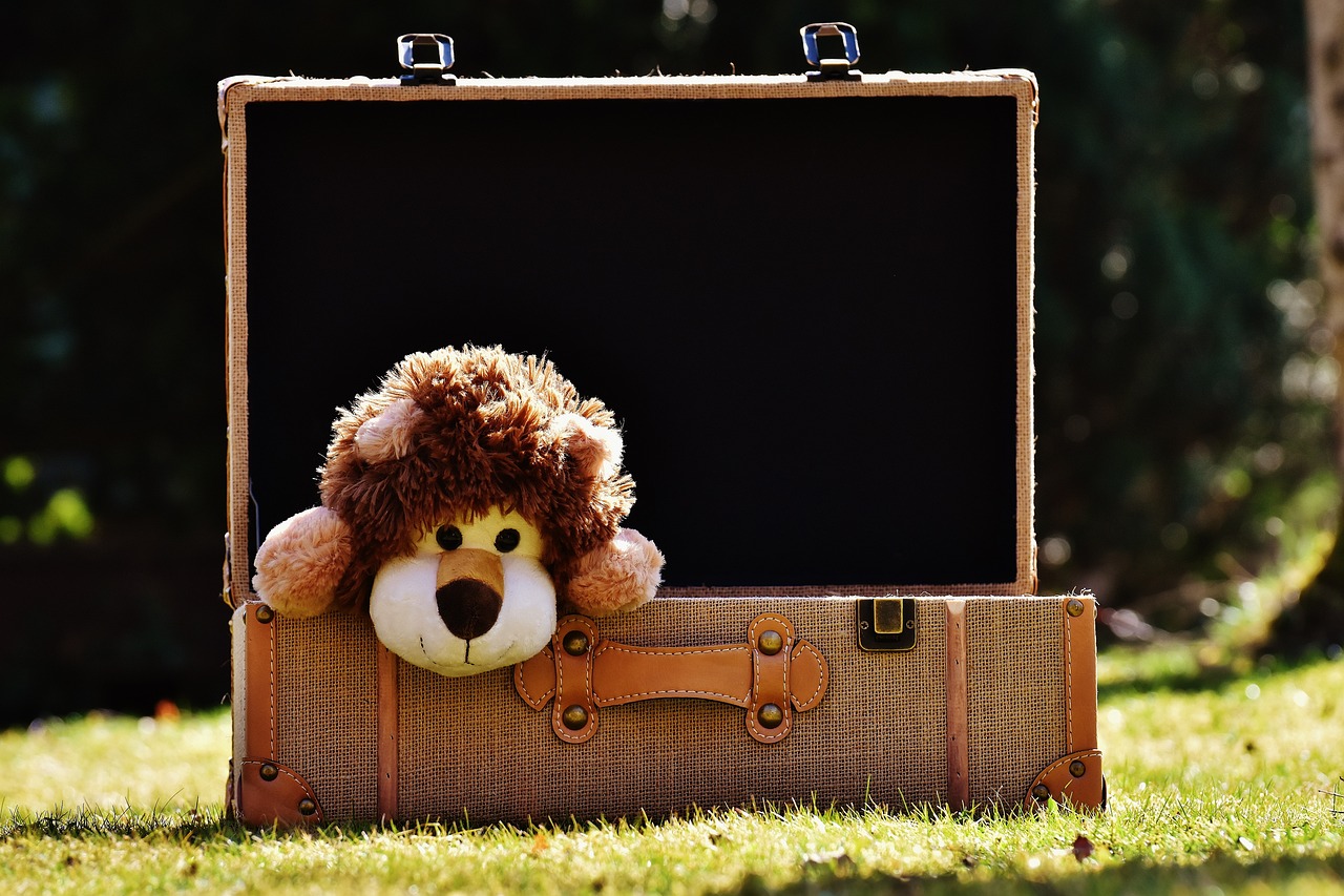 valise ouverte avec ours en peluche