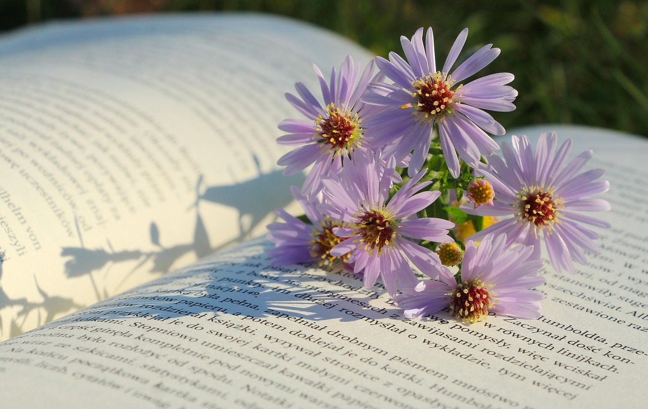 Fleurs dans un livre