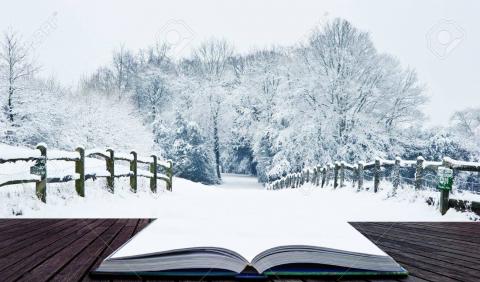 livre + neige